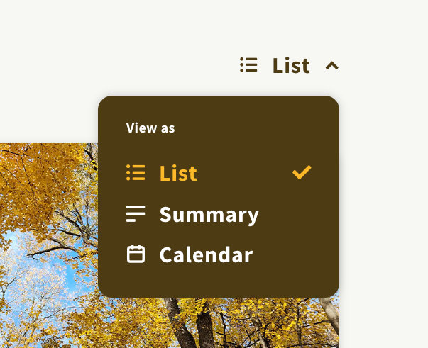 A picture of the different views for the events page: the list, summary, and calendar view.